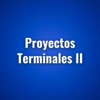 Proyectos terminales 2